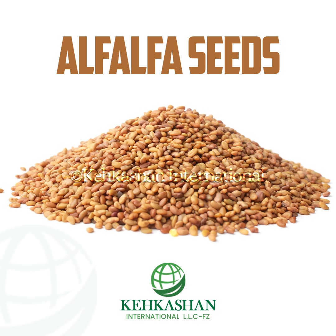 Alfalfa Seeds