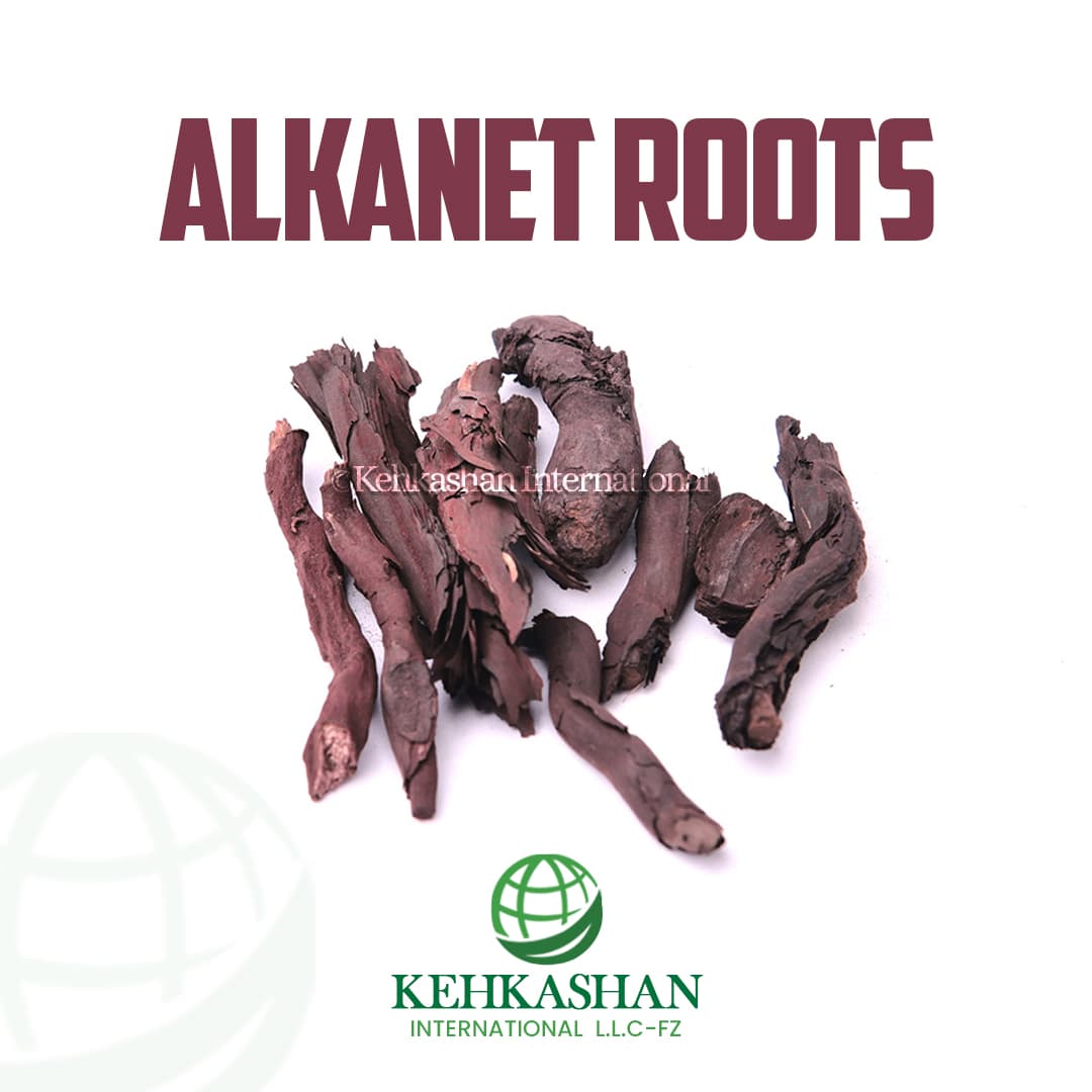 Alkanet Roots