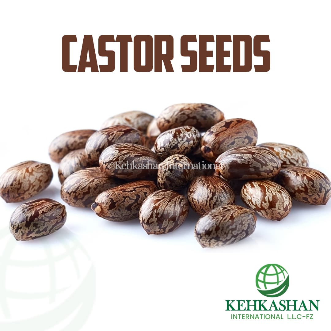 Castor Seeds