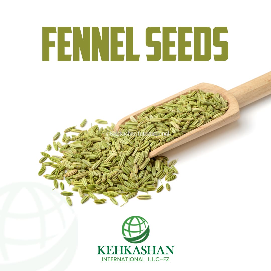 Fennel Seeds