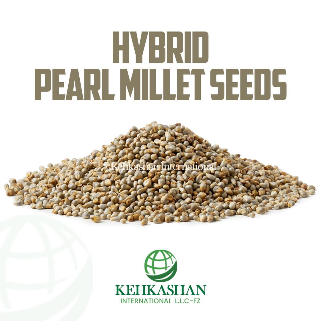 Hybrid Pearl Millet Seeds