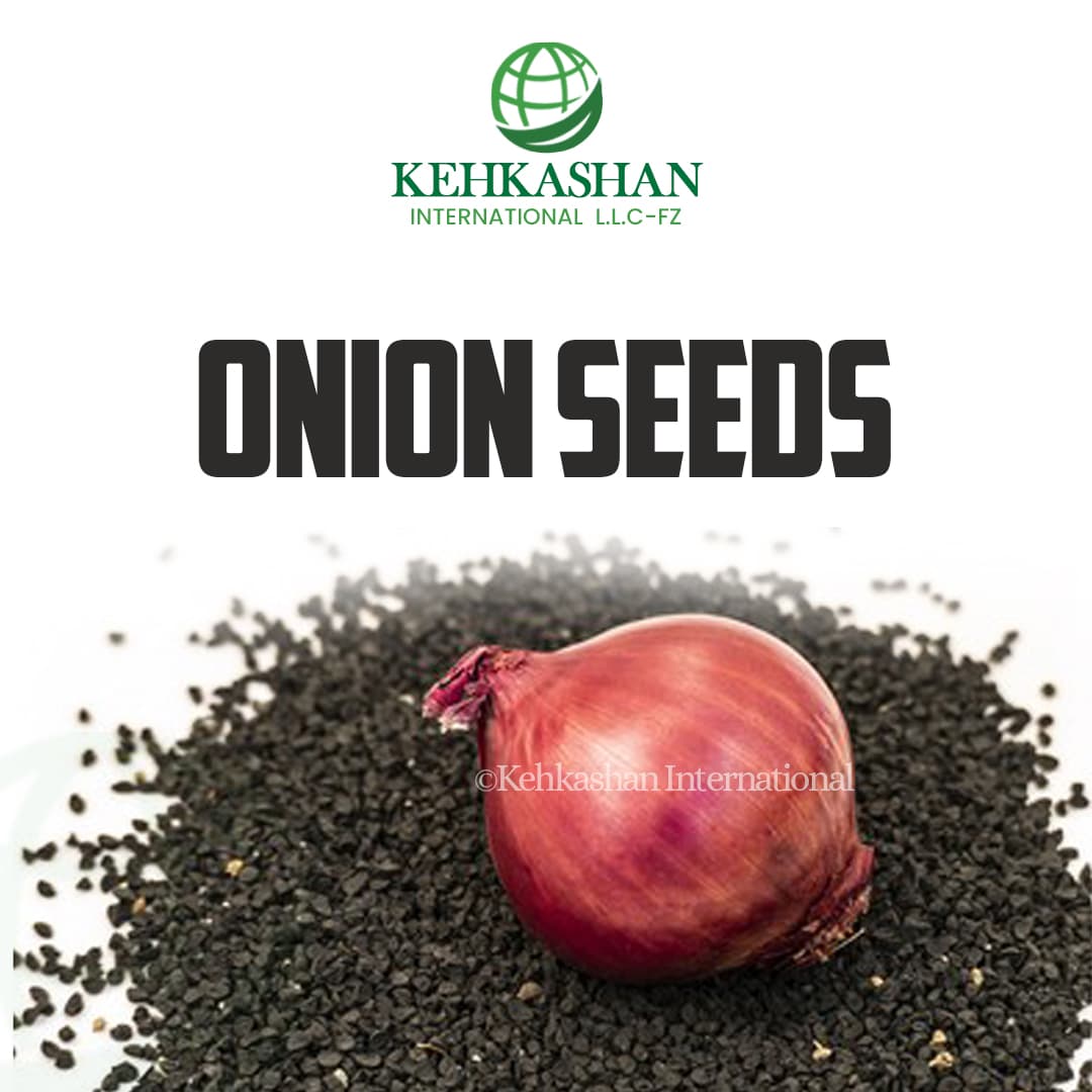 Onion Seeds