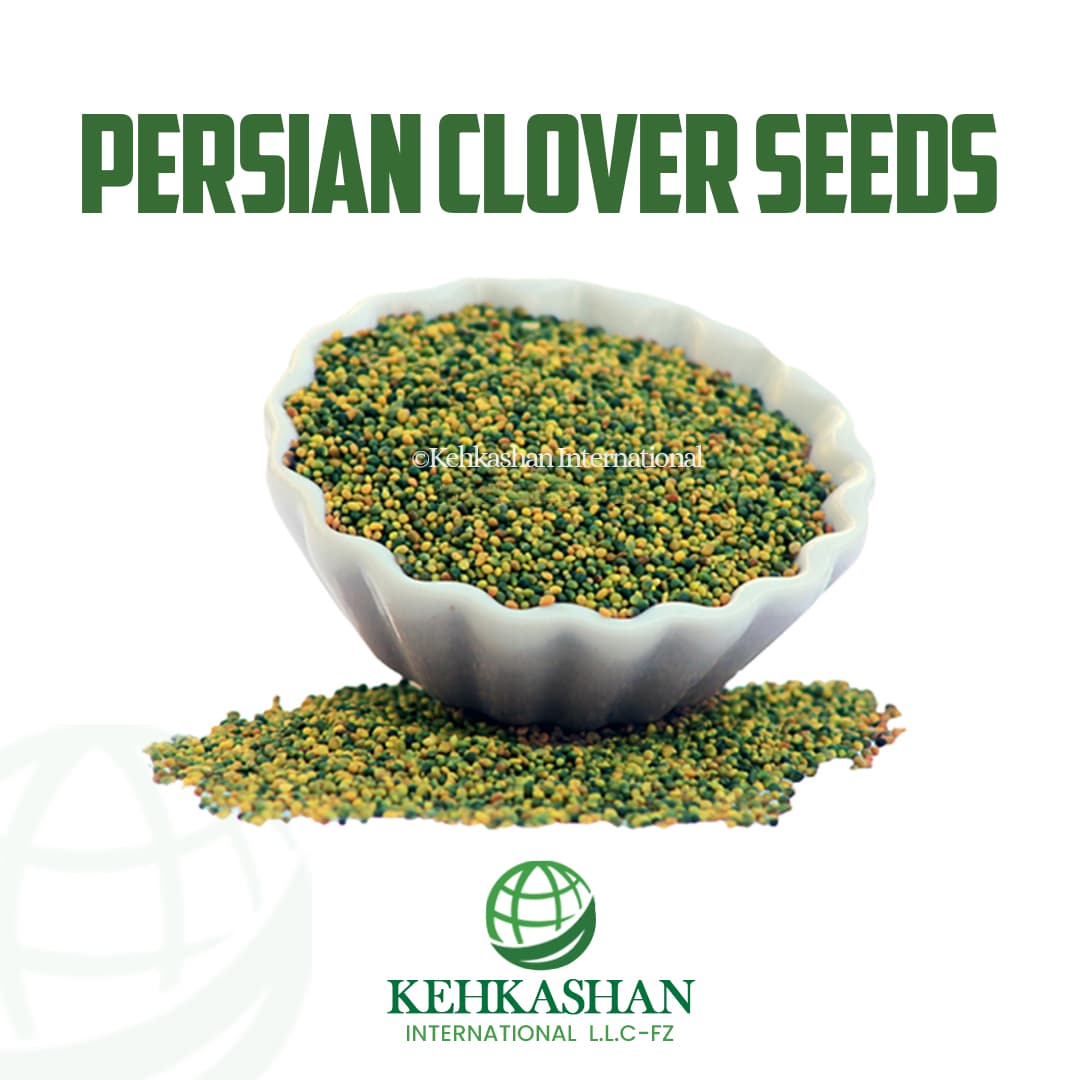 Persian Clover Seeds