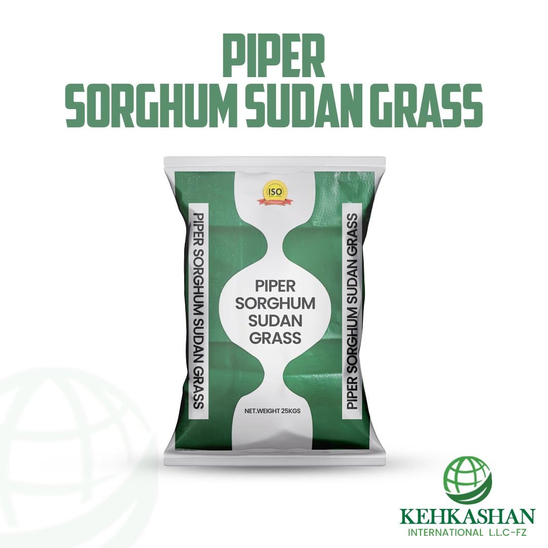 Piper Sorghum-Sudan Grass
