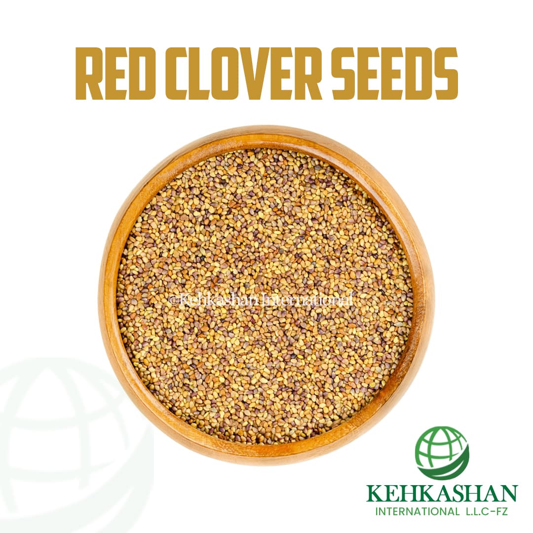 Red Clover Seeds