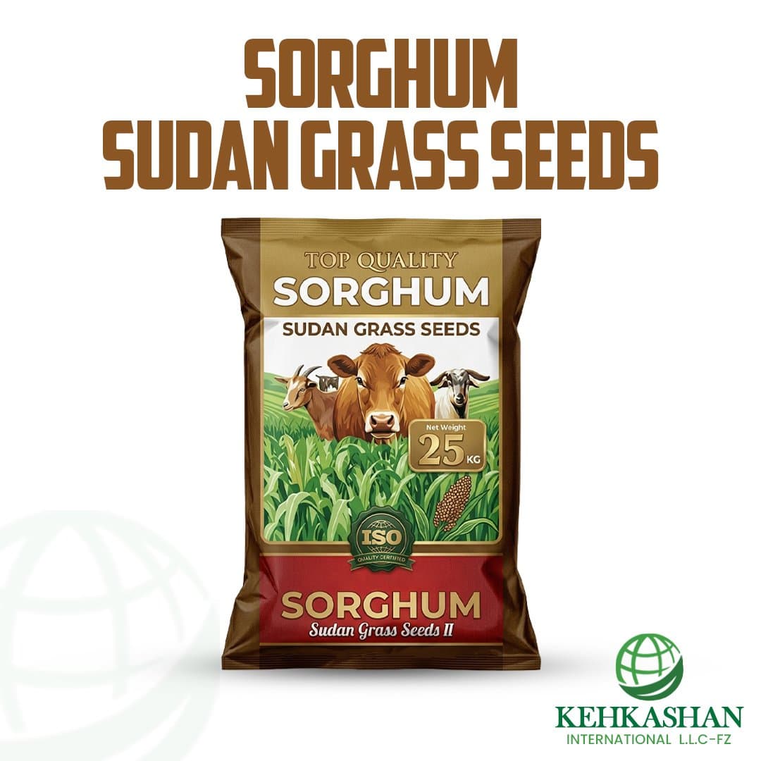 Sorghum × Sudan Grass Seeds