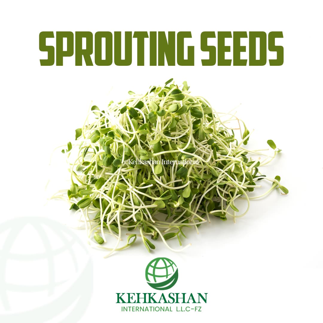 Sprouting Seeds