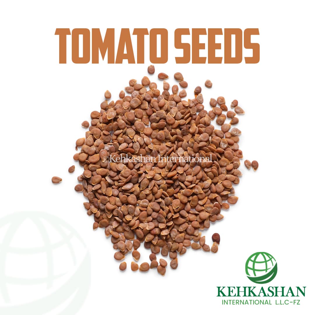 Tomato Seeds