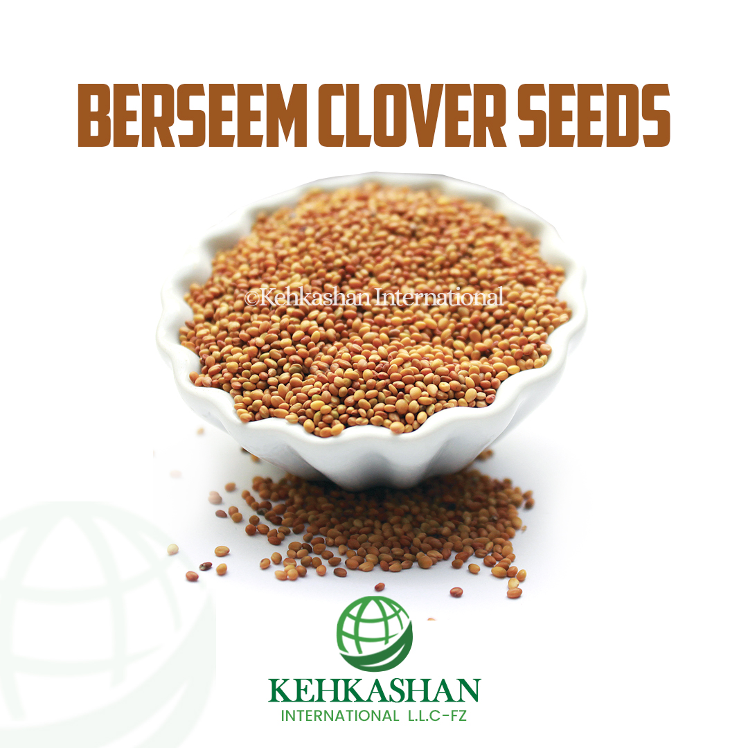 Berseem Clover Seeds — Kehkashan International product photo