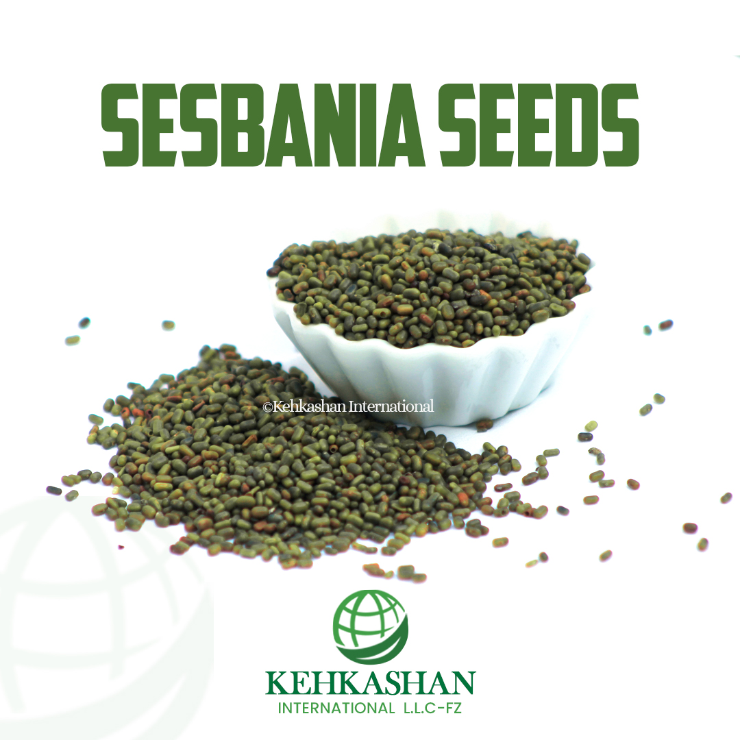 Sesbania Seeds — Kehkashan International product photo