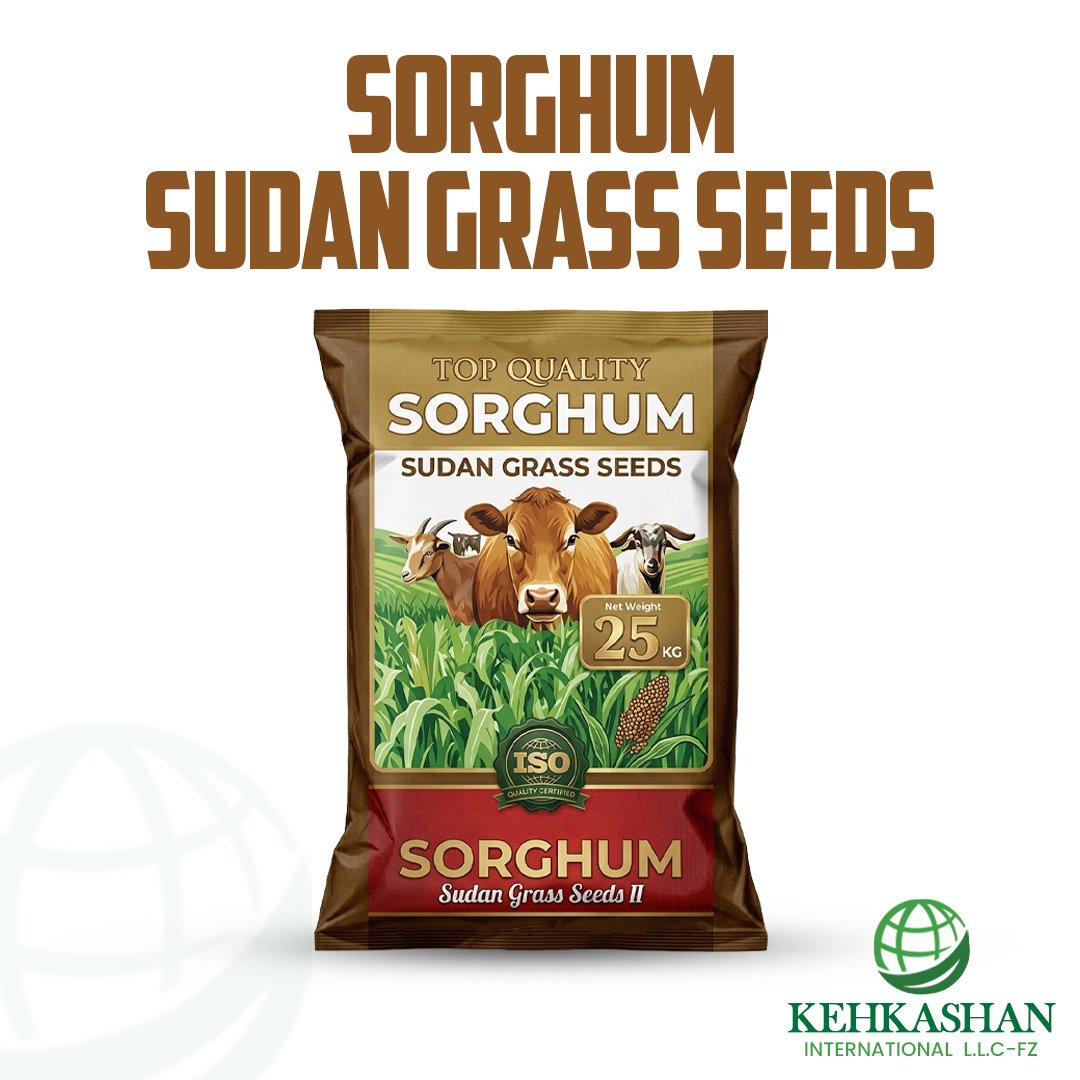Sorghum × Sudan Grass Seeds — Kehkashan International product photo