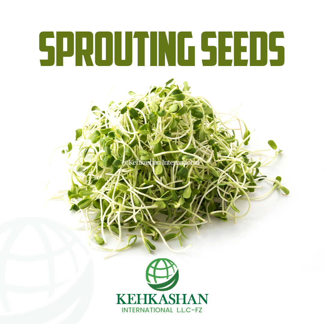 Sprouting Seeds — Kehkashan International product photo